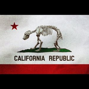 Meet your Posher, Bryan